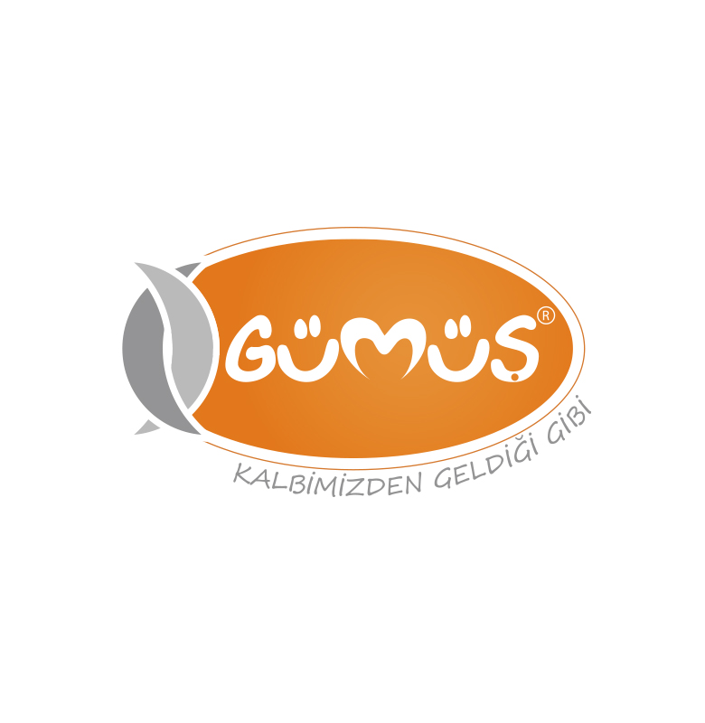 gumus-kurumsal-kimlik-tasarimi5