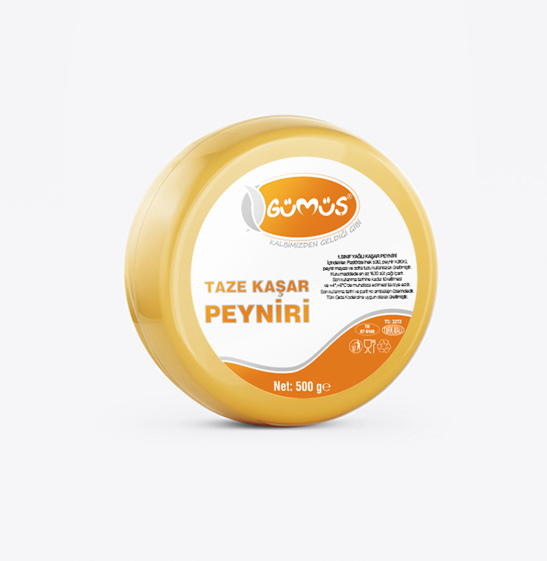 gumus-kurumsal-kimlik-tasarimi6