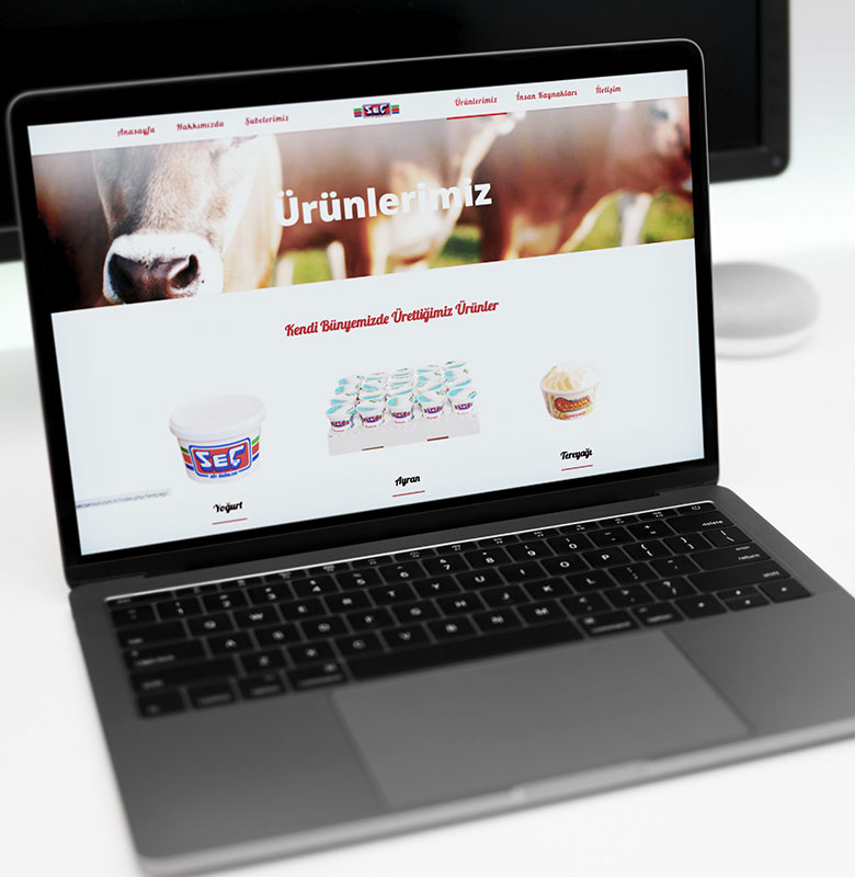 secsan-web-site-tasarimi2