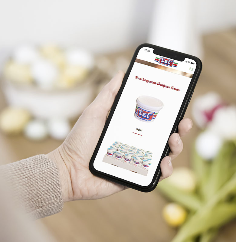 secsan-web-site-tasarimi3